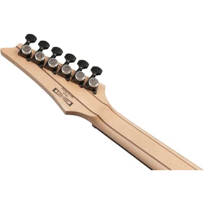 Ibanez RGA21P1PB RGA Premium 6-String Electric Guitar - Deep Twilight Burst image 6