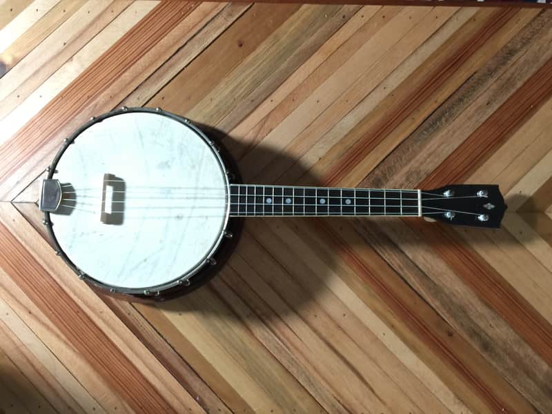 Stromberg-Voisinet Banjo ukulele 1920s image 1