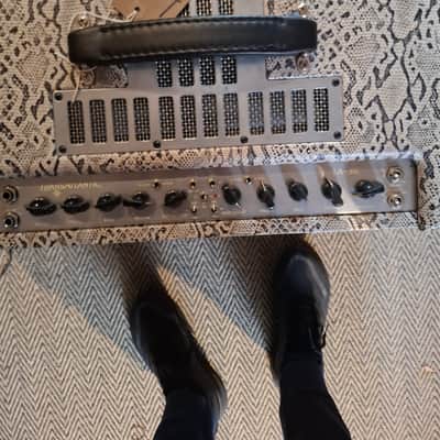 Mesa Boogie TransAtlantic TA-30 2-Channel 40-Watt 2x12" Guitar Combo 2011 - 2015 - Various image 2