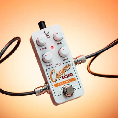 Electro-Harmonix PICO Canyon Echo Multi-Function Digital Delay image 1
