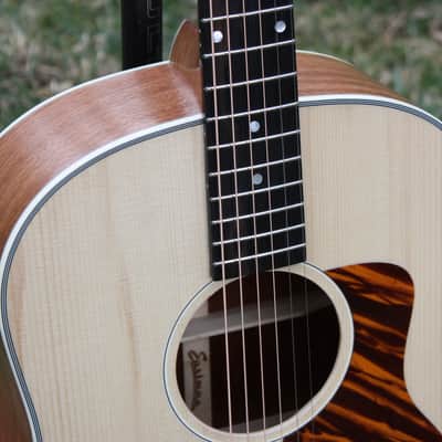 Eastman E1SS Ltd Edition image 3