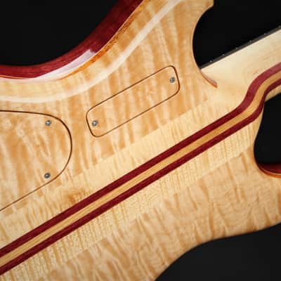 Alembic Further 6 - Buckeye Burl - Resin Top image 16