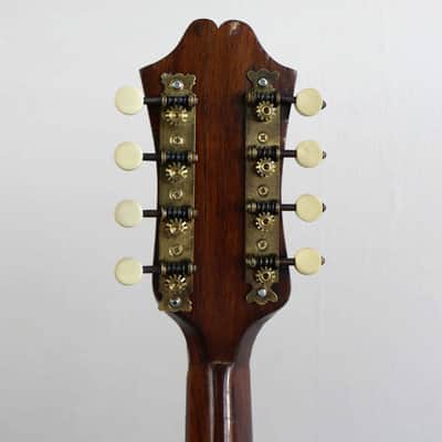 Giuseppe Indelicato Contarino Neapolitan Mandolin - c. 1910 - Made in Catania, Italy image 15
