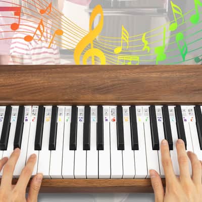 Piano Keyboard Stickers for 88-Key, Bold Large Letter Piano Stickers for Learning, Removable Piano Keyboard Letters, Notes Label for Beginners and Kids, White image 2
