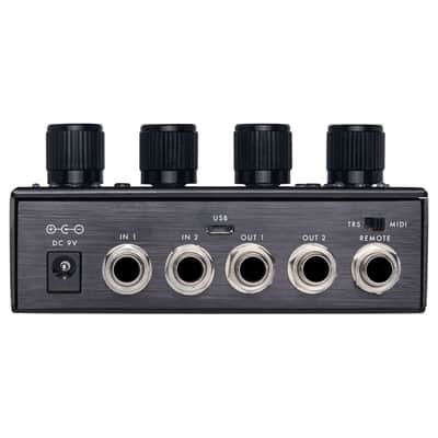 Pigtronix Echolution 3 Stereo Multi-Tap Delay image 3