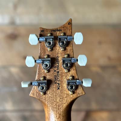 PRS DGT David Grissom Signature Wood Library Flame Maple 10 Top, Brazilian Rosewood FB - RARE! Bonnie Pink Cherry Burst 410959 image 10
