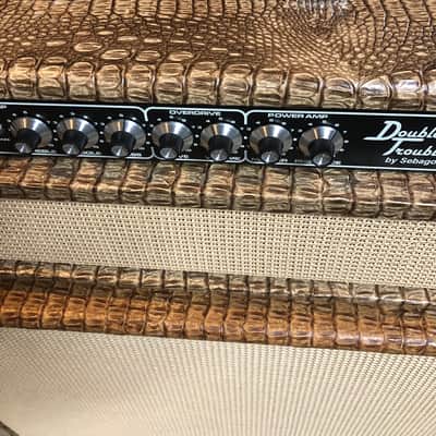Sebago  Double Trouble DUMBLE 100 Watt Head and Cabinet 2017 Crockadile image 3