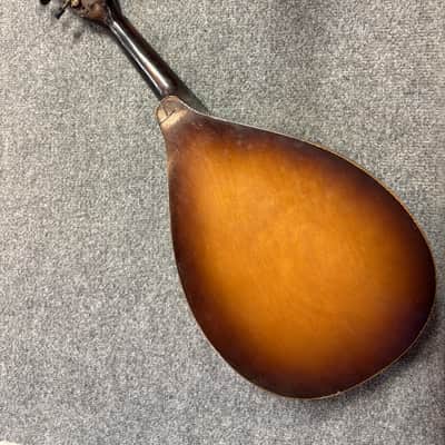 50's Vintage Del Oro Mandolin with Original Case image 4