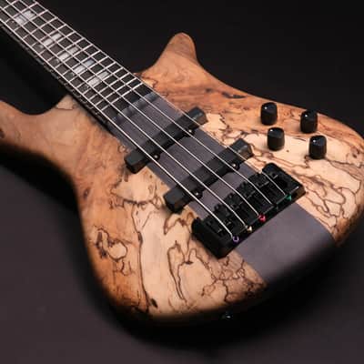 Spector CST limited Edition 2026 - Spalted Maple image 1