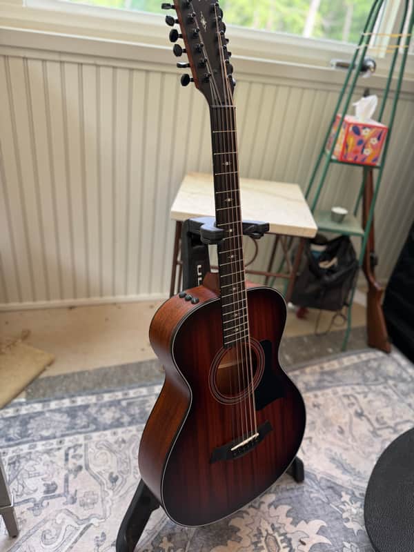 Taylor 362e with V-Class Bracing 2021 Shaded Edgeburst image 1
