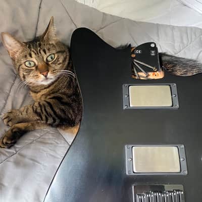 Fender Jim Root Artist Series Signature Jazzmaster 2014 - Present - Flat Black image 5