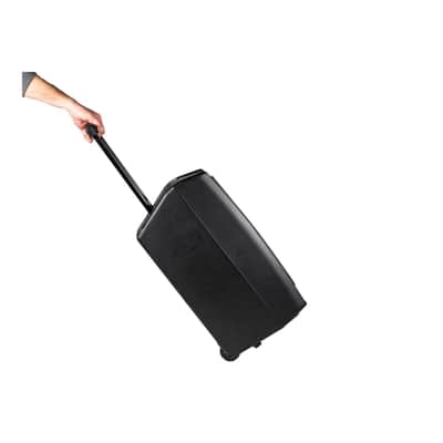 Proel V12 FREE Battery Powered Portable Combo Speaker image 6