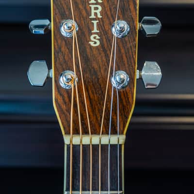 Martin D-28 style Morris W-35 Early 70s Made in Japan image 14