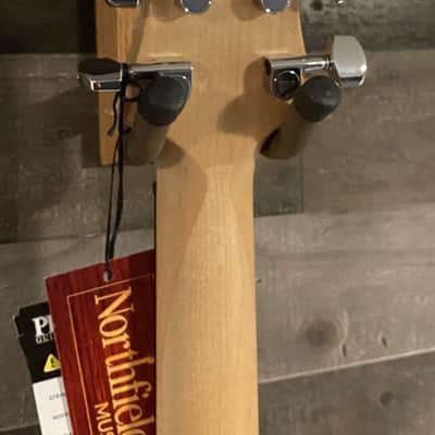 PRS CE24 Semi-Hollow Limited Tortoise Shell image 6
