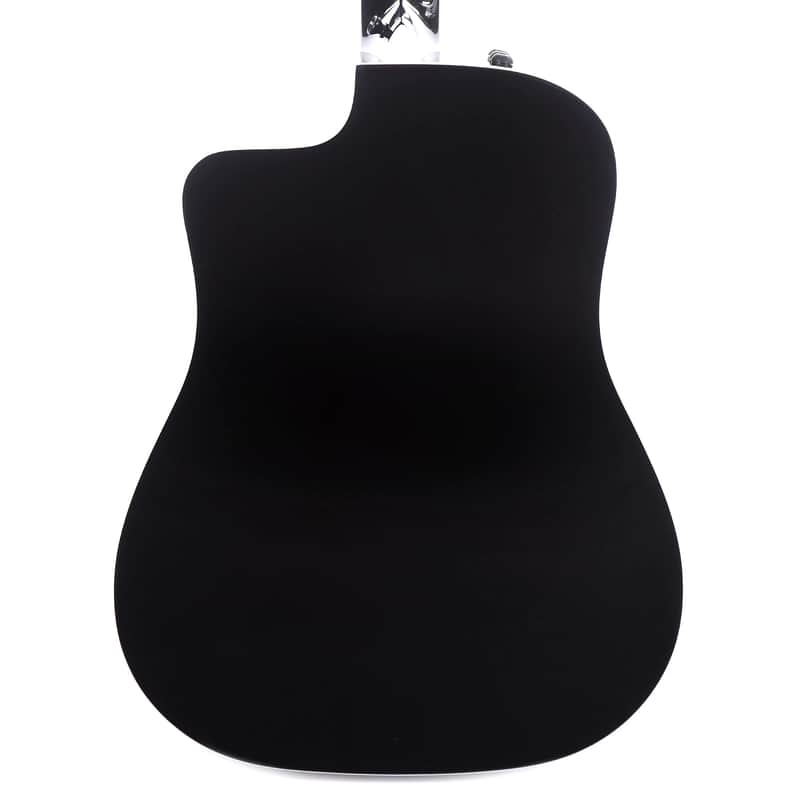 Taylor 250ce-BLK DLX image 4