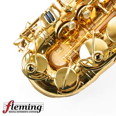 NEW Eastman EAS850 Rue Saint-Georges Professional Alto Saxophone (Competition Demo / Open Box Model) image 6