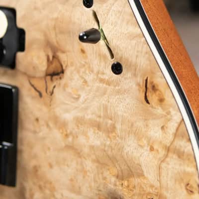 Mayones NAMM Regius 4Ever 6 – Master Grade Myrtlewood Burl with Mayones HISCOX Case image 16