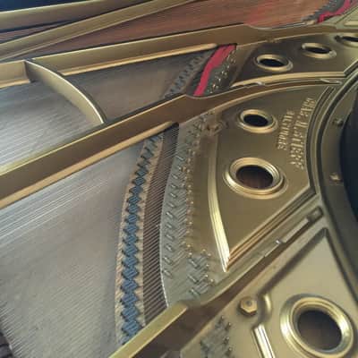 Chas. M. Stieff 9 Foot Concert Grand Piano 1913 Black image 4