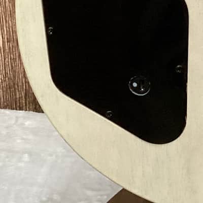 Custom Build - 2013 Gibson Les Paul LPJ image 10