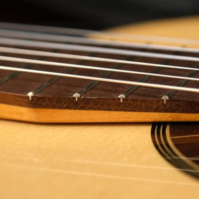 Martin Okenica - op. 48 / 2021, H. Hauser model 1943 redesign, spruce top, ash back, oil varnish image 15