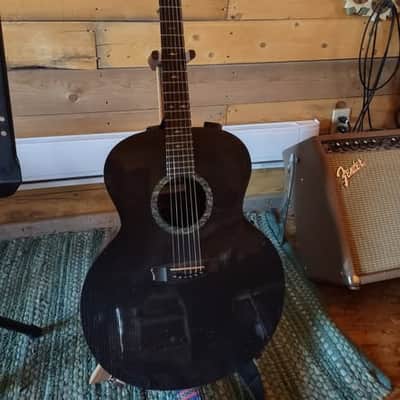 RAINSONG acoustic guitars for sale in Canada | guitar-list