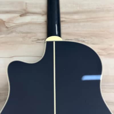 Takamine LTD2021 (Blue Rose) - Charcoal Blue Gradation image 12