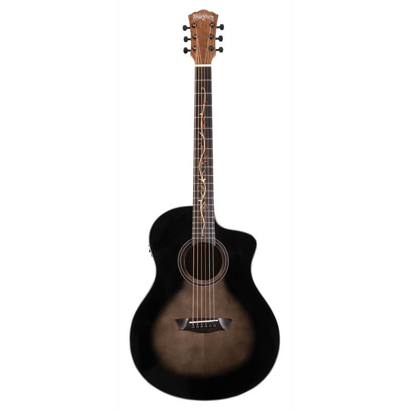 Washburn Bella Tono Vite S9V image 1