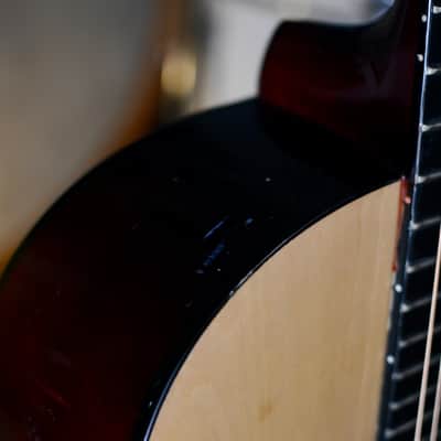 Elevation Acoustic Guitar - W-100-N-A image 7