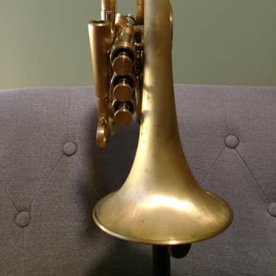Brasspire P7 Upturned Bell Brushed Pocket Trumpet image 4
