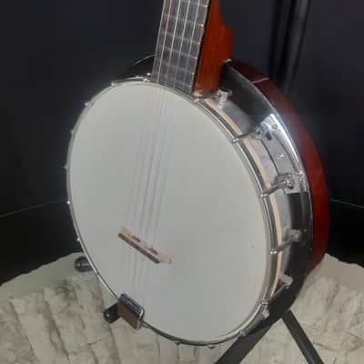 Vintage Peerless 5-String Banjo with Gig Bag image 10