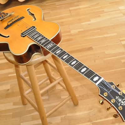IBANEZ PM3C-NAL Natural Amber Low Gloss Pat Metheny Signature / Jazz Hollow Body / PM3C-NAL / PW25040299 image 3