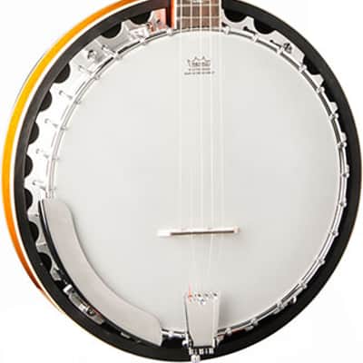 Washburn  B10 -5-String Resonator Banjo. New with Full Warranty! image 1