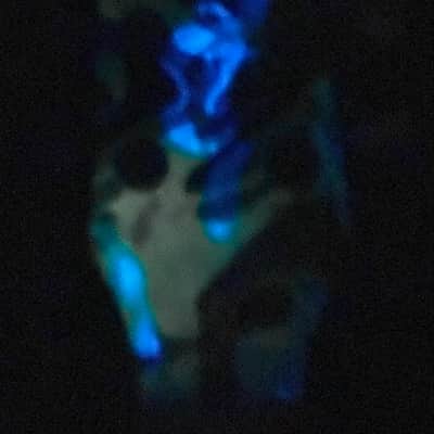 CeJota USA Custom - LP style Electric Guitar - Unique Glow in the Dark/Hydrodipped Finish image 10