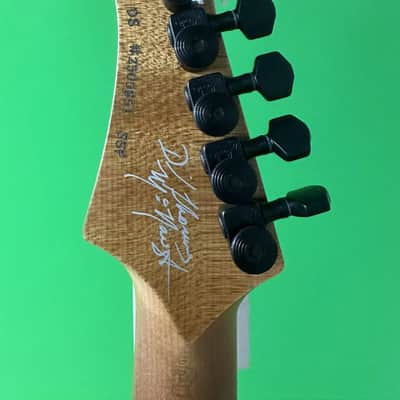 David Thomas McNaught Dt Telecaster 2023 image 8