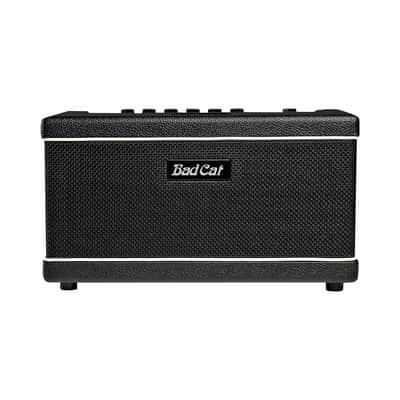 Bad Cat Paw 60-Watt 2x6" Guitar Combo
