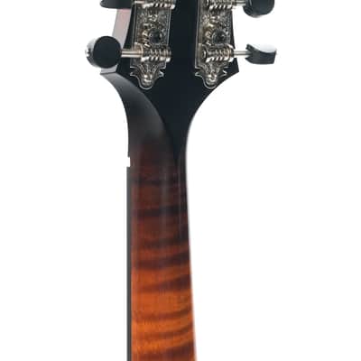 Collings MF F Style Mandolin 2022 image 6