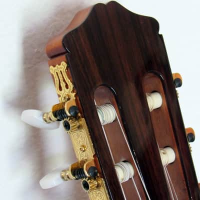 Cordoba - Dolce - Classical Acoustic 7/8 Guitar - Natural w/Gigbag image 8