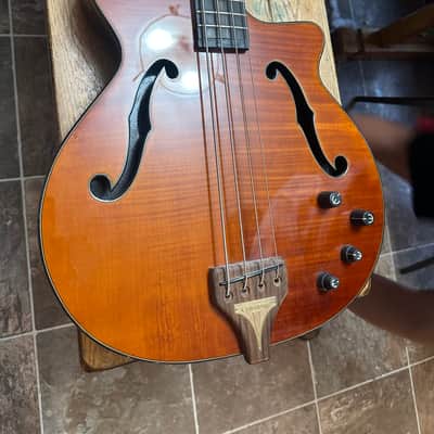 Epiphone Zenith Bass image 1