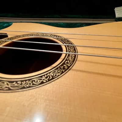 Southcoast RARE — Tenor Guitar/Baritone Ukulele 2017 image 9
