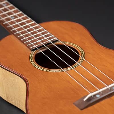 Pepe Romero 2012 Pepe Ukes Tenor, Cedar, Italian Maple image 2