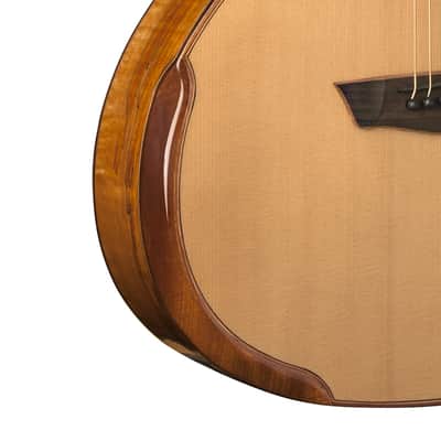Washburn WCG66SCE Comfort Series Grand Auditorium with Fishman. New with Full Warranty! image 4
