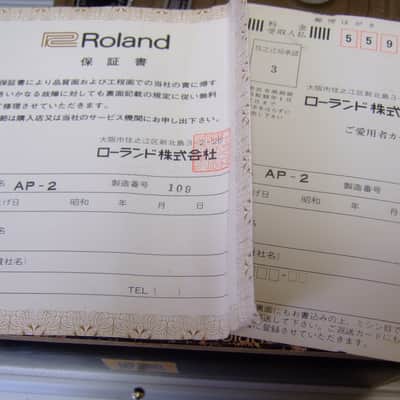 Roland AP-2 Phase II w/ Original Box 1976 - 1978 - Grey image 4