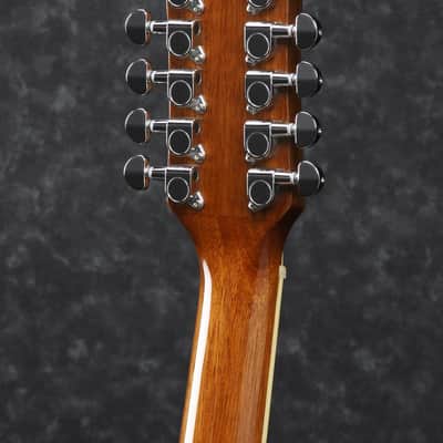Ibanez PF1512 NT 12 String Performance Natural High Gloss image 3