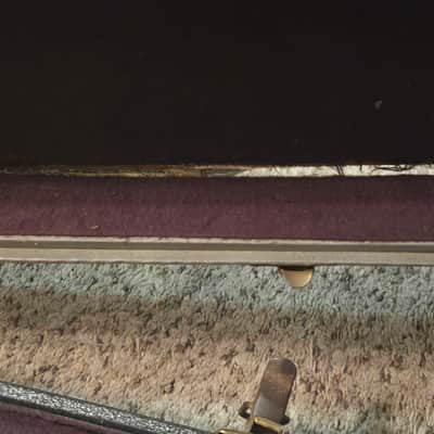 Vintage 1960's ESS & ESS Gretsch guitar case Tennessean - Anniversary model image 16