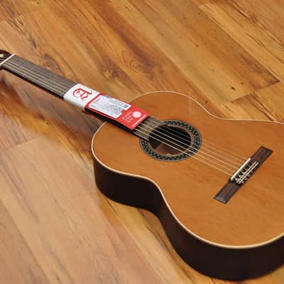 Alhambra 1C Hybrid Terra + softcase image 3