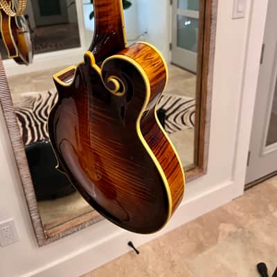 Aleyas F5D 2013-2020 - Sunburst Varnish Finish image 7