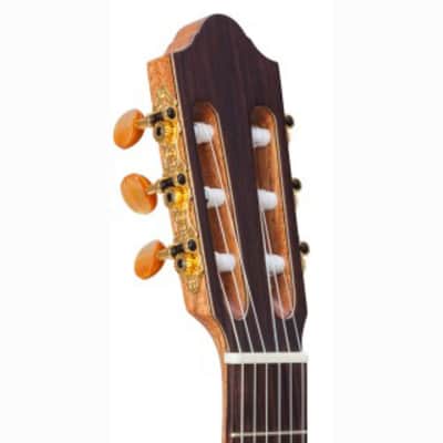 Kremona Sofia SC-T w/ Truss Rod | All-Solid Hand Crafted Classical Guitar. New with Full Warranty! image 5