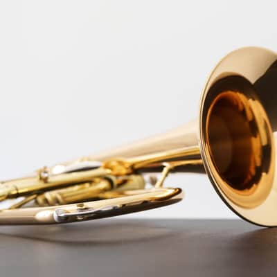 Yamaha YFH-8315G Custom Bb Flugelhorn (SN 4605xx) image 16