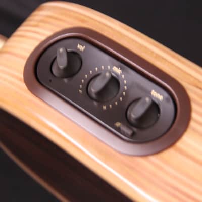 LR Baggs Torrified Spruce Top AE-1 2024 - Natural image 6