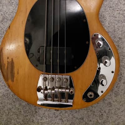 Music Man Stingray 1978 - natur image 3